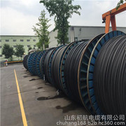 架空電纜與高壓架空線 市場(chǎng)行情、優(yōu)質(zhì)廠家與產(chǎn)品圖鑒