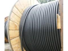 VV22輕鎧裝電力電纜在電力系統(tǒng)中的應用與漳州市場概述