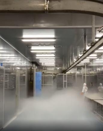 探秘國產寵物凍干工廠 親身探訪，揭開品質與代工的秘密